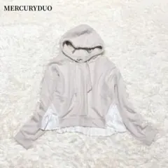 Item thumbnail for item ddddc5f1-8b7c-40ee-a332-2b294d601e25