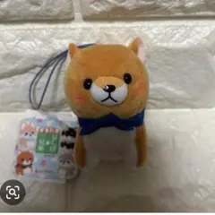 まるたま 豆しば三兄弟 夕涼み 豆柴 豆太郎 ぬいぐるみ