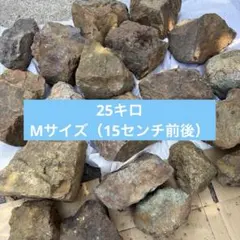 まーーぼーー様専用) 割栗石(茶)700kg - メルカリ
