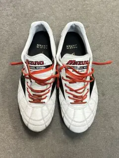 Mizuno モレリア2Japan クロスステッチ27cm - メルカリ