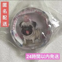 こびとづかん　クリアポーチ　カクレモモジリ　ガルシア　食玩