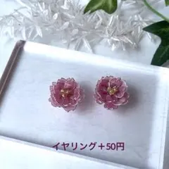 ハンドメイド 八重桜　ピアス　レジン　ディップ　シルバー　ピンク　春