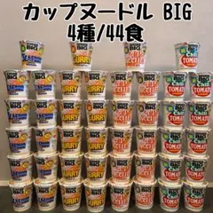 ⭐︎15,000円相当⭐︎日清 カップヌードル BIG カップ麺3種類 計45個