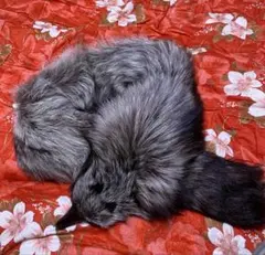 Item thumbnail for item b7b13fb0-1f1e-4d55-ae2a-417954105326