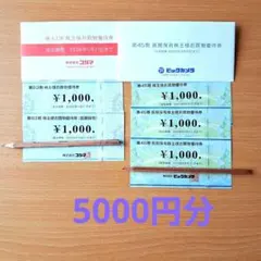 ビッグカメラ、コジマ株主優待券5000円分