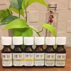 アロマオイル Aura Cacia 6本セット