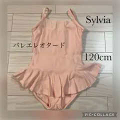 Item thumbnail for item 661df100-1e4c-4306-87c5-0e25b29b86e4