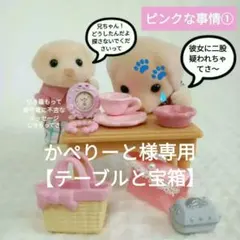 かぺりーと様専用