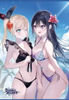 【新品未開封】SAMURAI MAIDEN サムライメイデン B2タペストリー