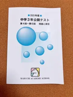 2026年最新】馬渕 公開テスト中学3の人気アイテム - メルカリ
