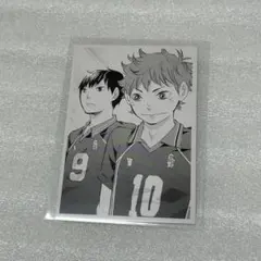 ハイキュー 10thクロニクル 思い出スナップフォトカード 影山飛雄/日向翔陽
