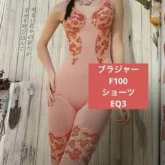 2026年最新】ダイアナ ブラジャーの人気アイテム - メルカリ