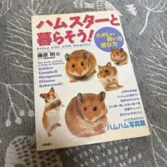 ハムスターと楽しく遊ぼ！