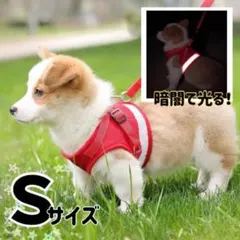 Item thumbnail for item 2ae420b4-2166-455d-b61d-7cb09dbf7a09