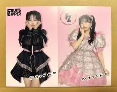 FRUITS ZIPPER 松本かれん ポストカード セット