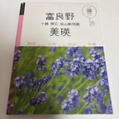 Item thumbnail for item 2a794085-1c66-409b-8c98-27d5212b6407