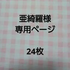 【亜綺羅様　専用】靴下のアクリルたわし。24枚