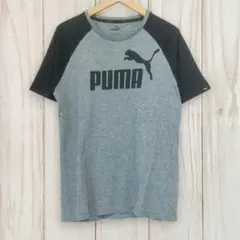 【プーマ 半袖ビッグロゴ ラグラン Tシャツ】 M グレー PUMA 古着
