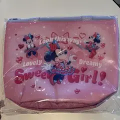 スーベニアランチケース　ディズニー　パルパルーザ　ミニー　ファンダーランド