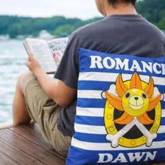 ワンピース 麦わらの一味 クッション インテリア