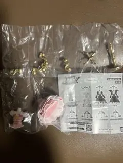 【新品・未使用】アイカツ カプセルトルソー オーロラキスコーデ 星宮いちご