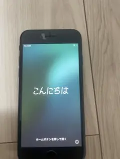 Apple iPhone 第2世代本体 64GB