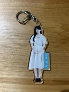 生田絵梨花 アクリルキーホルダー 2種セット 乃木坂46 - メルカリ