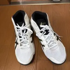 asics DUNK SHOT バスケットボールシューズ