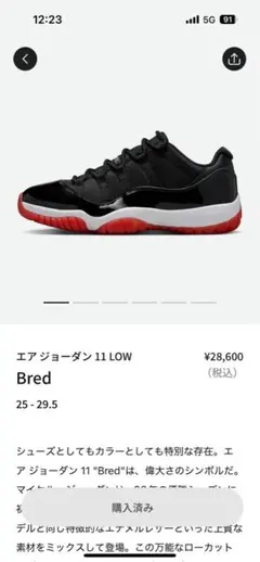 エア ジョーダン 11 レトロ LOW 