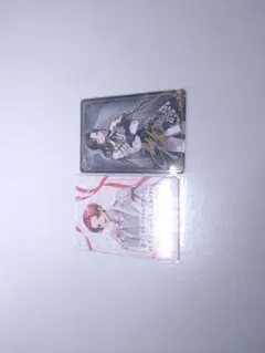 いれいす チプカ 2枚セット