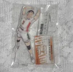 ハイキュー クロニクル 影山飛雄 アクフィ アクリルスタンド アクスタ