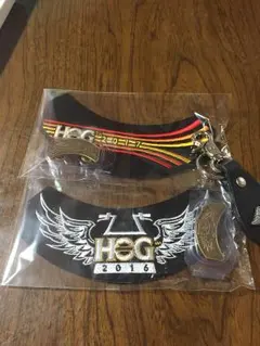 アップリケ  ハーレーダビッドソン  2つセット