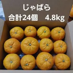 じゃばら　合計24個　4.8kg　送料込み　④