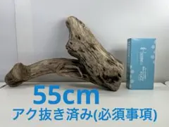 Item thumbnail for item cab09eff-b408-415e-920e-3d881a505d8e