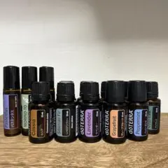 ドテラdoTERRA感情のオイル 6本セット - メルカリ