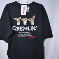 Item thumbnail for item a0c02c70-9a7e-4618-a1b4-cd43c8529b6e