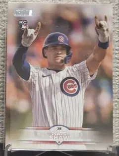 Item thumbnail for item 75bfff04-6b44-46bf-845a-919d76a25e3e