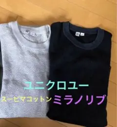 ユニクロユー　ルメール　セオリー ミラノリブ　スーピマコットン　ニット