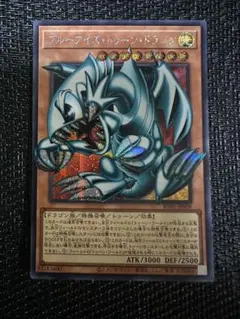 ☆値下げ可☆遊戯王【N3枚 ブルーアイズ・トゥーン・ドラゴン 