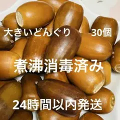 大きいどんぐり　　2.５㎝位　　30個