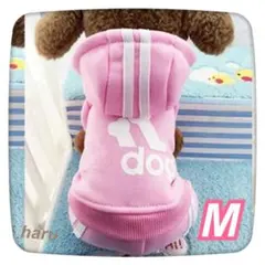 Item thumbnail for item 8d495030-1ea1-41c1-ba9e-39b03f4672cb