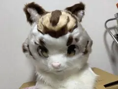 鹿目まどか　全頭面 　着ぐるみ　マスク　コスプレ　コスチューム Yahoo!オークション - 【全頭面】 鹿目まどか 着ぐるみ マスク コスプ