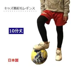 Item thumbnail for item 1052e5fb-715b-4cb7-bcff-b69261b1db2d