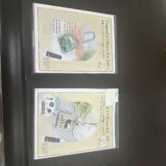 レジン　キッド　2個セット