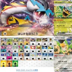 最新環境ジムバトル優勝 タケルライコex 構築済みデッキ