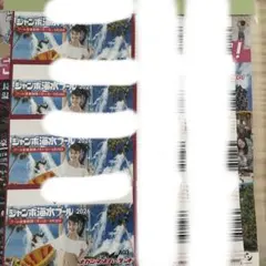 2026ナガシマジャンボ海水プール 入場券 大人4名セット - メルカリ