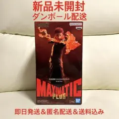 2026年最新】maximatic 宿儺の人気アイテム - メルカリ