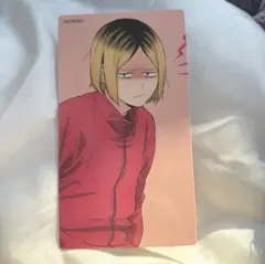 ハイキュー!! アニメイトフェア　特典　大判カード　喜怒哀楽フェア2025