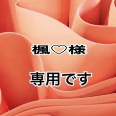 楓♡様 リクエスト 4点 まとめ商品