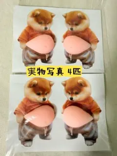 おなかぷにぷにシール　お腹シール　柴犬　スクイーズ【2セット4匹】